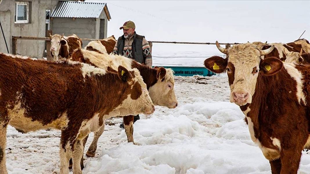 İstanbul'daki işini bıraktı, tek kuruş devlet desteği almadan Erzurum'da dev tesis kurdu 10